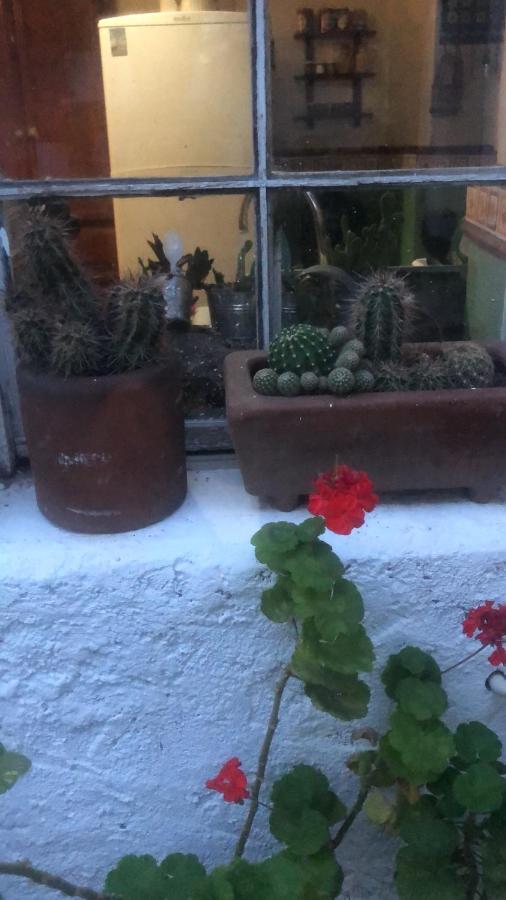 Home Stay Maria Hidalgo del Parral Εξωτερικό φωτογραφία